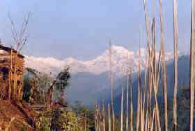 A view from Sikkim